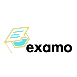 Examo Logo